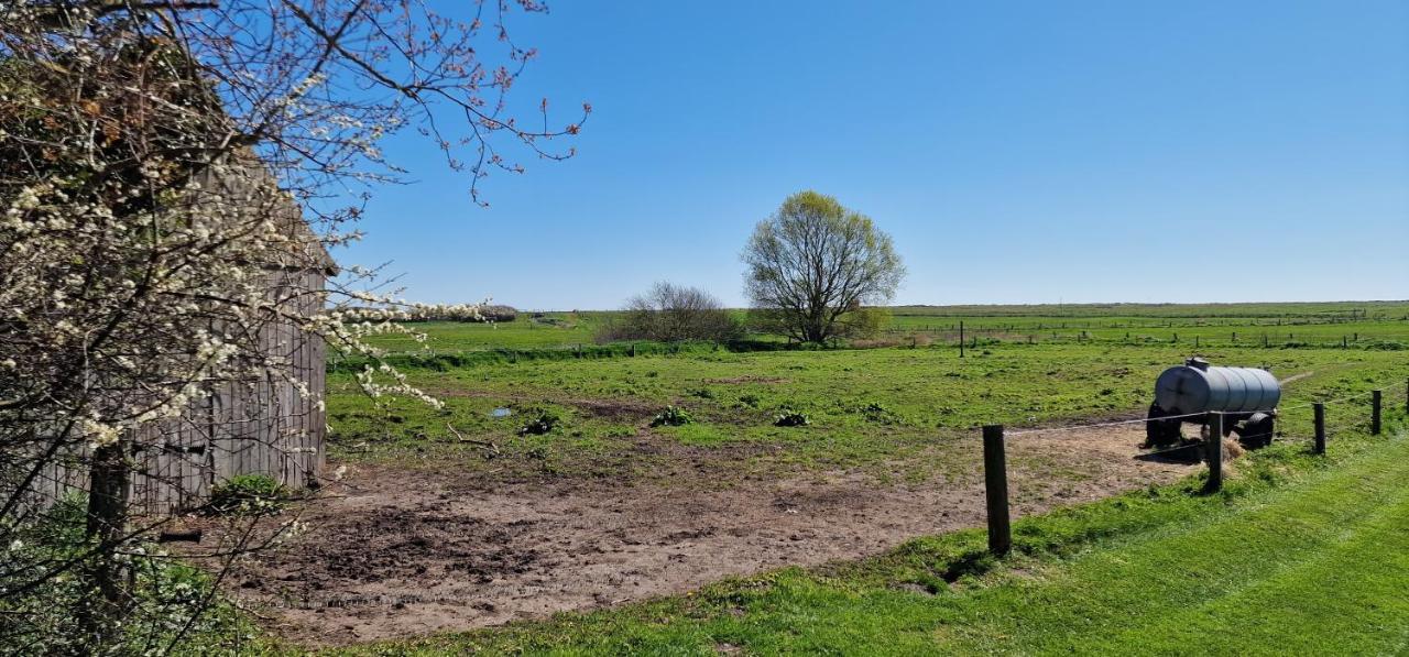 Ferienwohnung 'Gelting' - Refugium Pottloch Ostsee Kronsgaard Zewnętrze zdjęcie